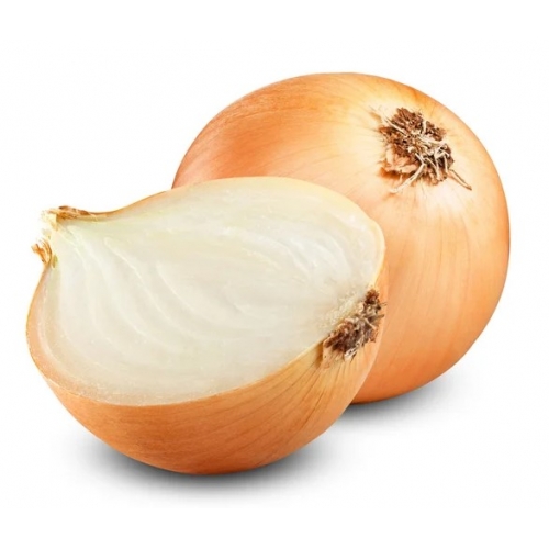 Лук Диско F1| Disco F1 Syngenta