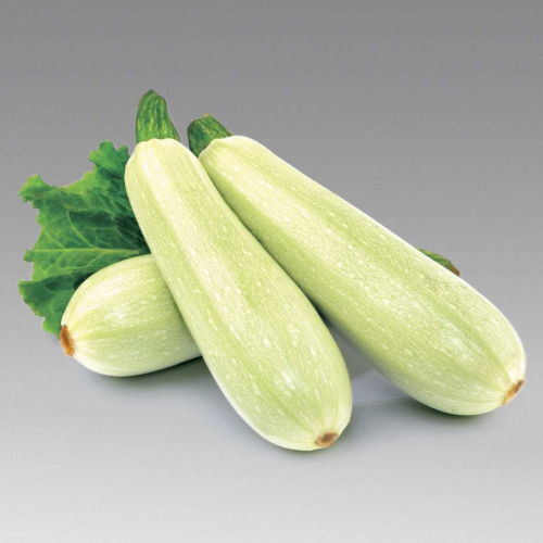 Кабачок Молдова Ленуца F1