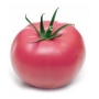Семена розового томата Солвет F1 | Solvet F1 Syngenta