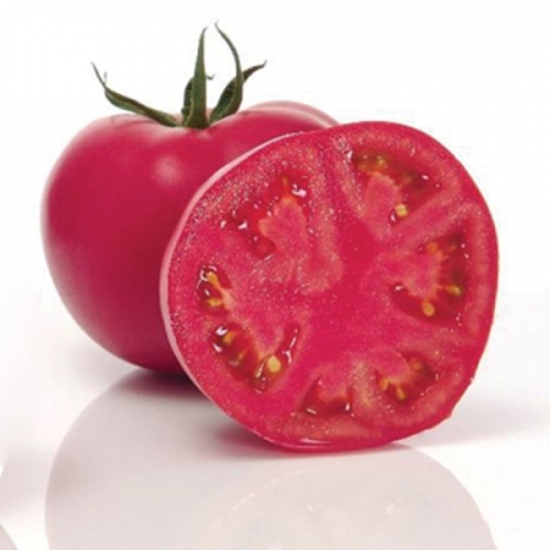 Томат розовый Пинк Импрешн F1 | Pink Impression F1 Sakata