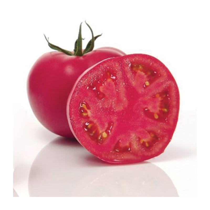 Томат розовый Пинк Импрешн F1 | Pink Impression F1 Sakata