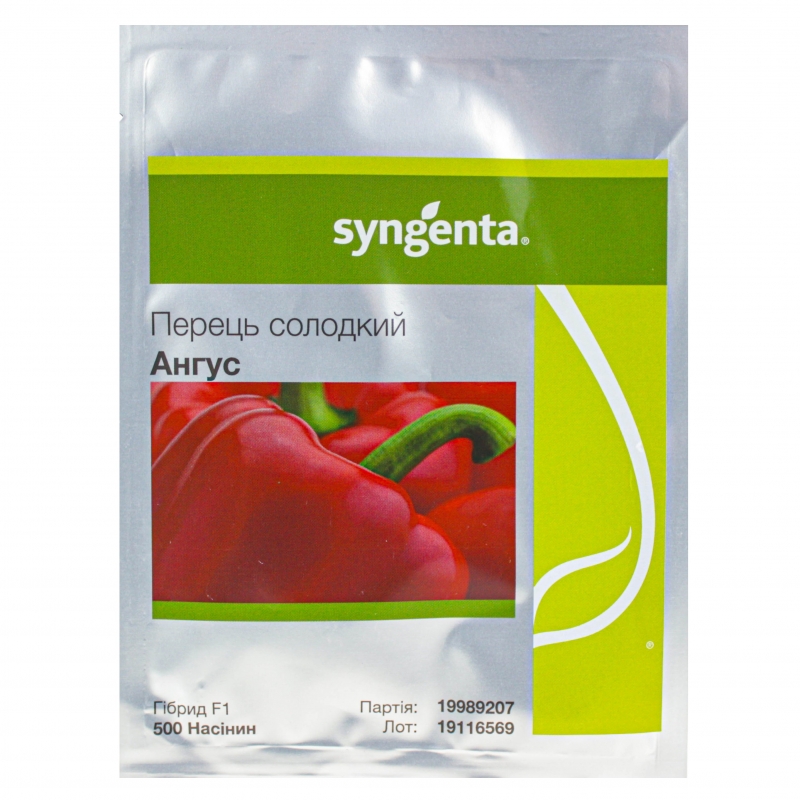 Кубовидный перец Ангус F1 | Angus F1 Syngenta