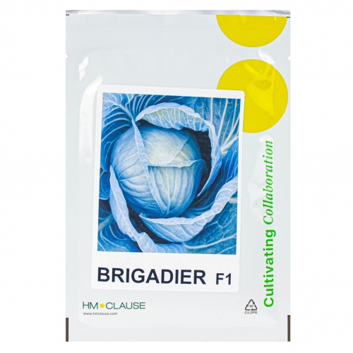 Капуста БРИГАДИР F1 | BRUGADIR Clause