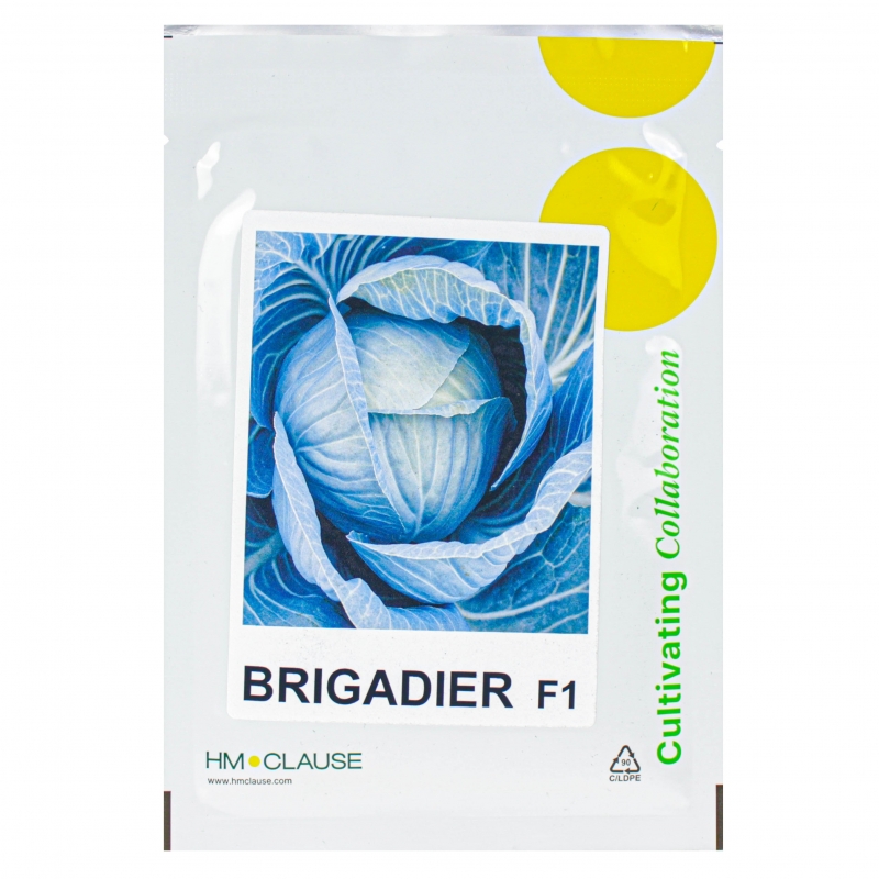 Капуста БРИГАДИР F1 | BRUGADIR Clause