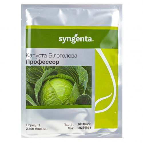 Капуста белокочанная ПРОФЕССОР F1 | PROFESSOR F1 Syngenta