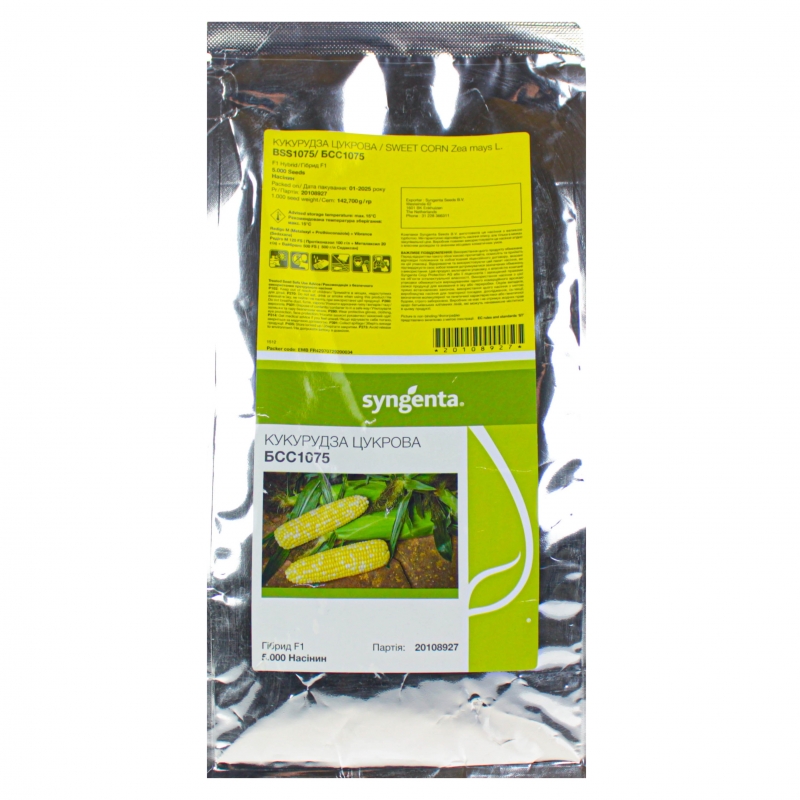 Кукуруза БСС 1075 F1 | BSS 1075 F1 Syngenta
