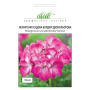 Вербена крупноцветковая (Verbena hybrida) розовая Професійне насіння 0,1 г