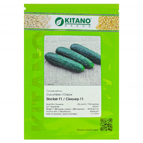 Огурец СИНКЛЕР (KС 80) F1 | SINCLER (KS 80) F1 Kitano Seeds