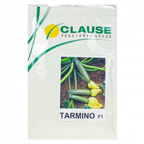 Кабачок ТАРМІНО F1 | TARMINO F1 Clause