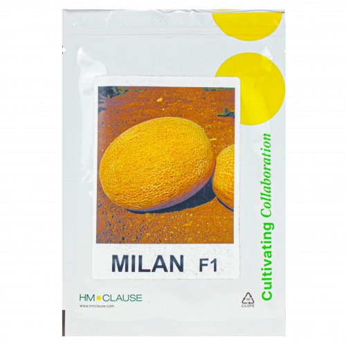 Диня МІЛАН F1 | MILAN F1 Clause