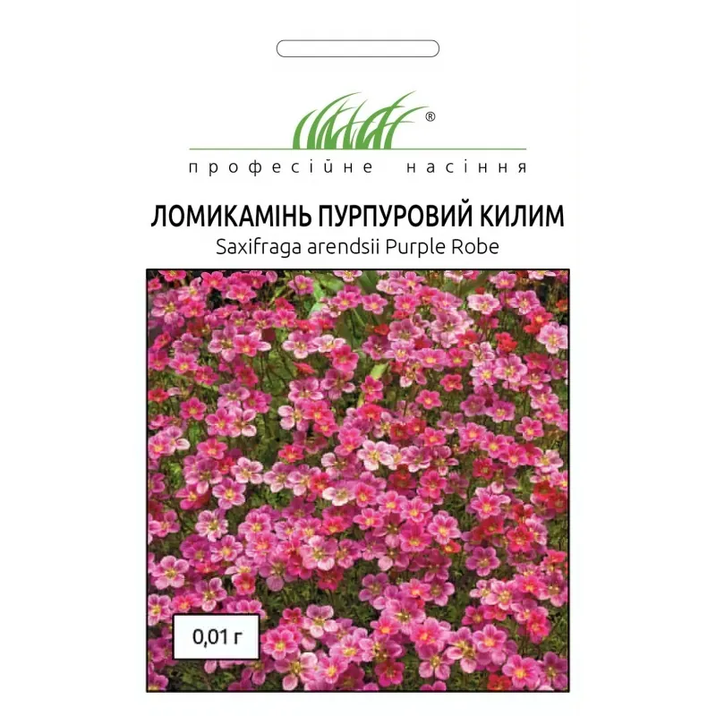 Камнеломка пурпурный ковер (Saxifraga arendsii Purple Robe) Професійне насіння 0.01 г