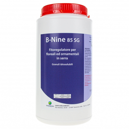 Регулятор росту Бінайн / B-Nine UPL ( даміноцид 85%)