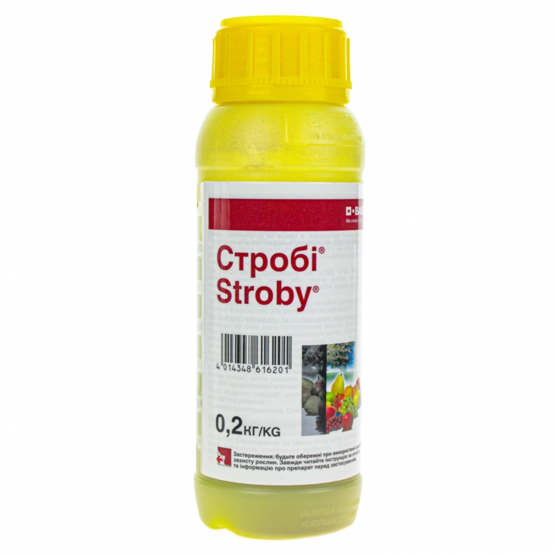 Фунгицид СТРОБИ в.г. BASF