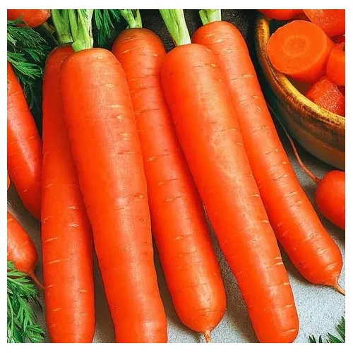 МОРКОВЬ ПЕРФЕКЦИЯ 15 г