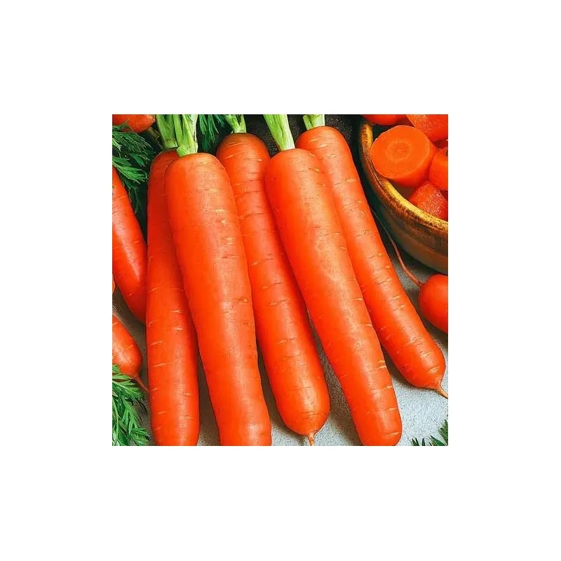 МОРКОВЬ ПЕРФЕКЦИЯ 15 г