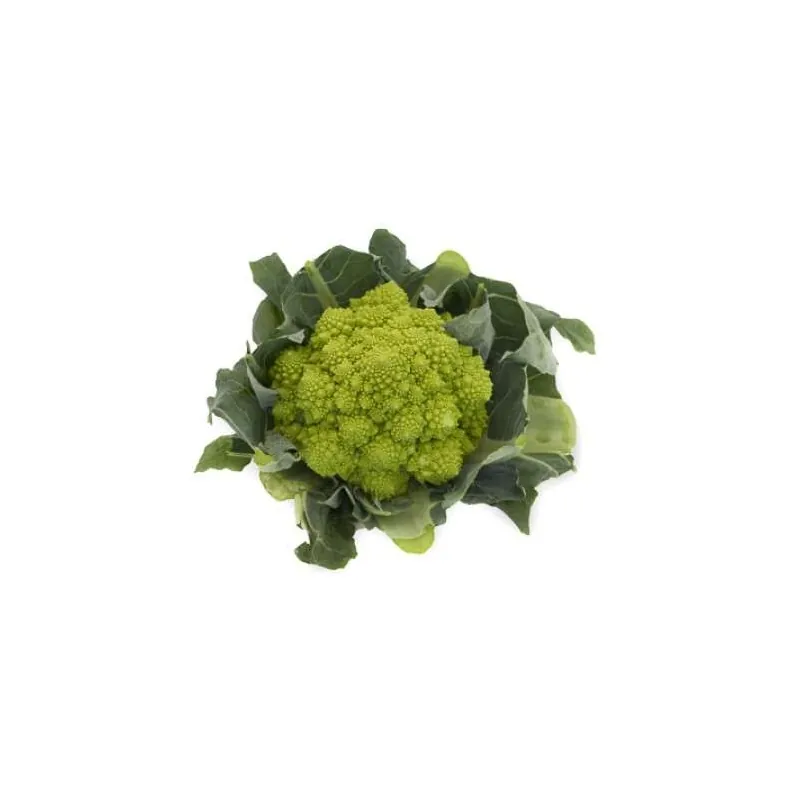 Капуста цветная ПУНТОВЕРДЕ F1 Rijk Zwaan