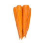 Морковь ВАРМИЯ F1 | WARMIA F1 Rijk Zwaan (калибр 1.8-2.0) (Фасовка - 1 000 000 семян)