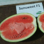 Арбуз САНСВИТ F1 | SUN SWEET F1 cora seeds (Фасовка - 50 семян)
