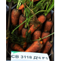 Морковь СВ 3118 F1 Seminis (1.6-1.8) (Фасовка - 1 000 000 семян)