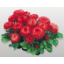 Маргаритка Хабанера | Bellis perennis Habanera Benary flowers (Фасовка - Красная - 250 драже)