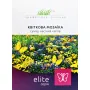 ЦВЕТОЧНАЯ МОЗАИКА смесь семян цветов Професійне насіння 30 г