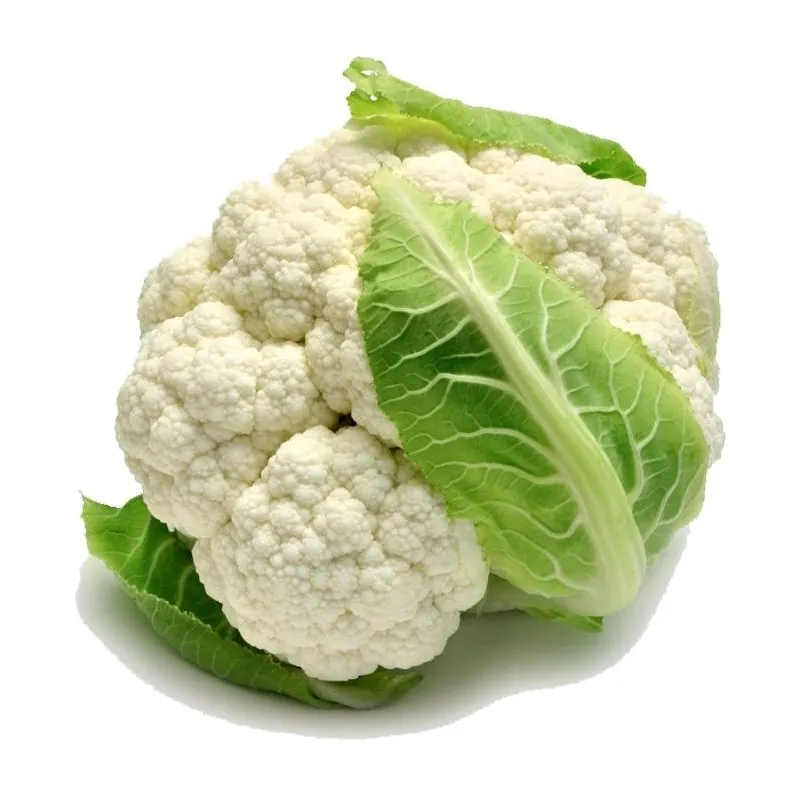 Капуста АМЕРИГО F1 Syngenta 