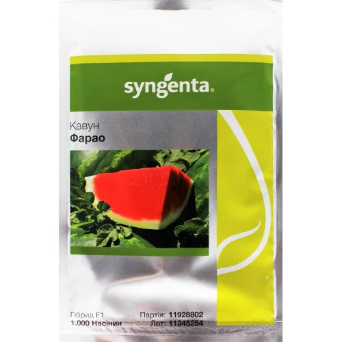 Арбуз ФАРАО F1 | FARAO F1 Syngenta