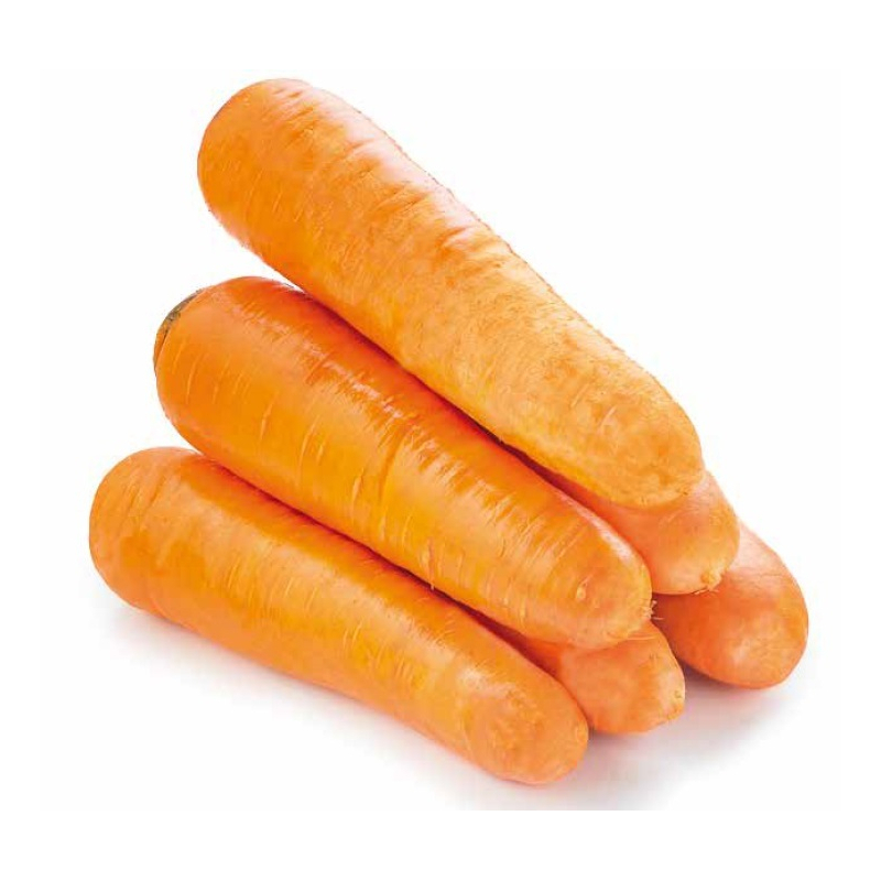 Морковь СВ 3118 F1 Seminis (1.8-2.0)