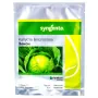 Капуста ЗЕНОН F1 Syngenta 