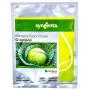 Капуста СТОРИДОР F1 Syngenta 