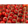 Томат черри ГРЕТА F1 10 шт