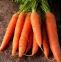 Морковь Флакке