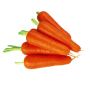 Морковка АБАКО F1 2.0-2.2 | ABAKO Seminis 