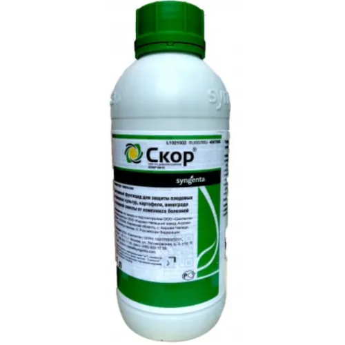 Фунгіцид СКОР 250 EC к.е.Сингента | Syngenta