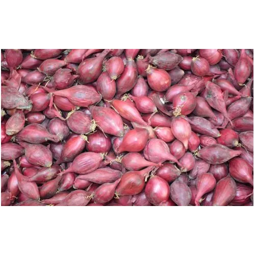 Лук севок Робин 1 кг