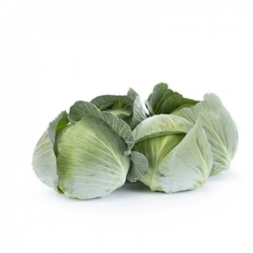 Капуста ДУЛСИМА F1 | DULCIMA F1 Rijk Zwaan