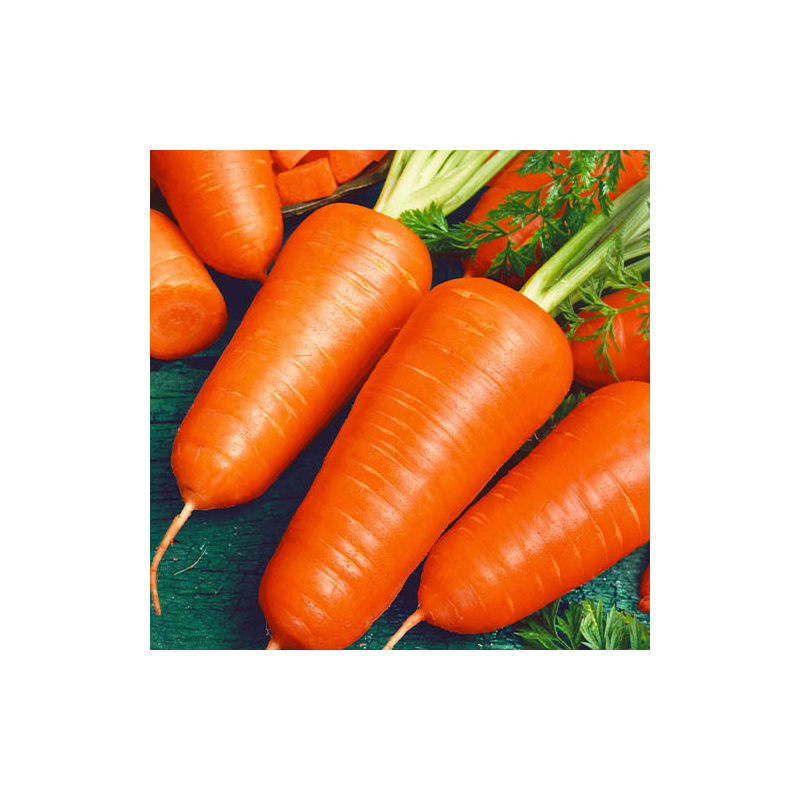 Морковь Шантане Красное Сердце Hazera