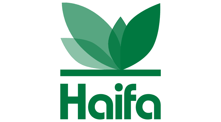 Haifa