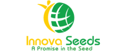 Innova Seeds