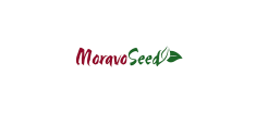 Moravo seed