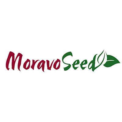 Moravo seed