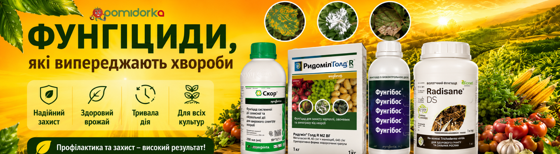 Фунгіциди